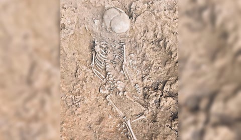 The skeleton of a child found at the excavation site in Molapalayam