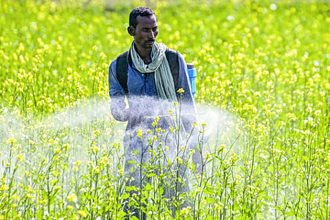 Diversified incomes, irrigation to shield India’s agri sector from El Niño: Report