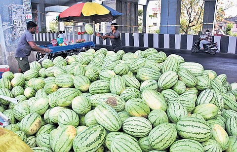 Watermelons unloaded along the Puzthivakkam railway station offering refreshing respite for commuters and residents battling the heat.