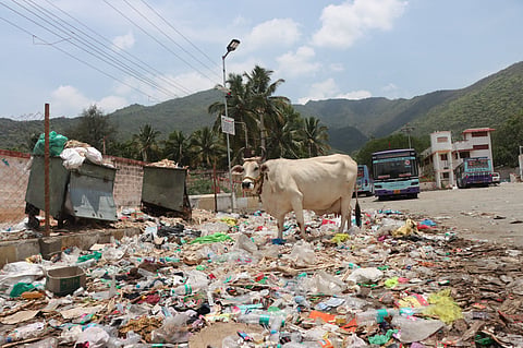 Plastic bottles, covers, liquor bottles, and hotel waste were scattered all over the Maruthamalai bus stand.
