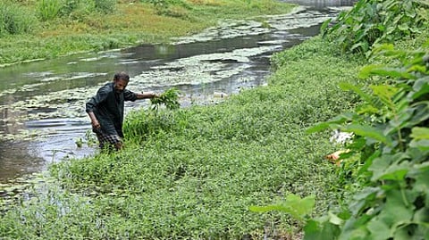 Karamana river
