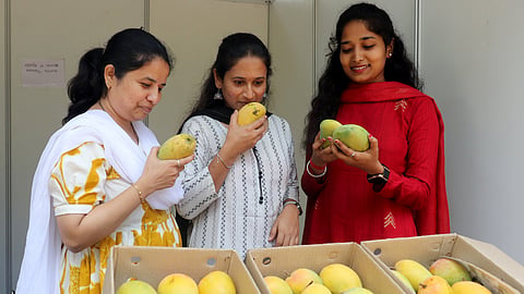 People sample mangoes at the Cubbon Park mango and jackfruit mela.