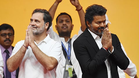 TVK president C. Jospeh Vijay and Congress leader Rahul Gandhi