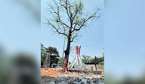 The GHMC’s proposed redesign of the junction has raised concerns among environmentalists and residents, who fear the decades-old trees may be removed or transplanted for the project.