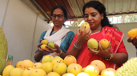 Deputy Director of Horticulture, G Kusuma, at The Mango and Jackfruit Mela 2026 by the Dept. of Horticulture along with KSMDMCL.