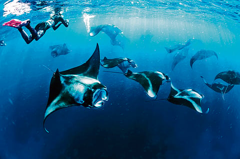 Diving deep into Lakshadweep