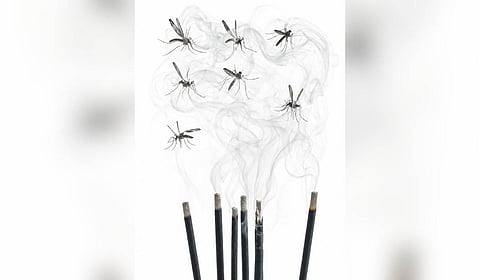 Illegal mosquito repellents may contain toxic substances such as pyrethroids, organophosphates and heavy metals, which can aggravate respiratory problems with continuous exposure indoors.