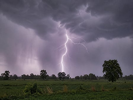 Police said that as rain accompanied by thunder and lightning began, Ajay took shelter under a tree for protection when lightning struck him.