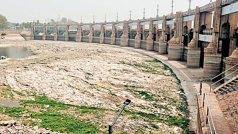 Water storage at the Mettur Dam in Tamil Nadu's Salem stands below 80 feet, adding to the worries of Kuruvai rice farmers
