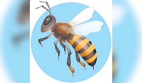 Image used for representative purpose.