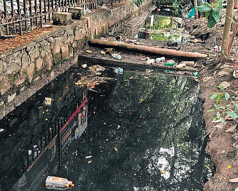 A canal filled with smelly and ink-black water at Panampilly Nagar