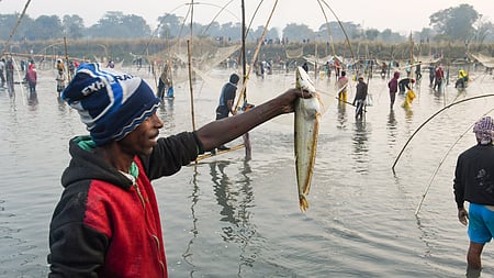 India’s total fish production reached 1,977,500 metric tonnes in 2024-25, marking a 106% increase since 2013-14.