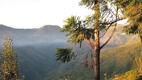 Baralikadu eco-tourism centre near Karamadai in Coimbatore.