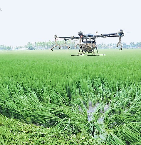 Drone technology proved highly efficient in pesticide application, reducing labour dependency, water usage and time.