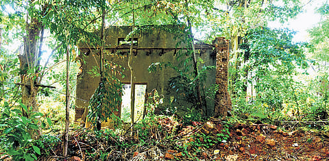 The site of the old court complex in Mattancherry