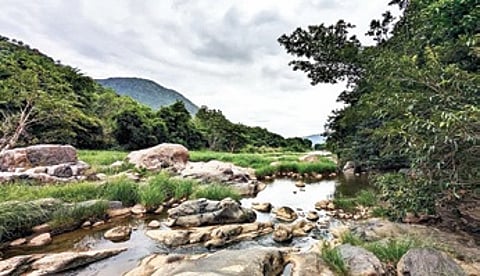 Experts urge governments to draft new bill for river, mountain conservation.