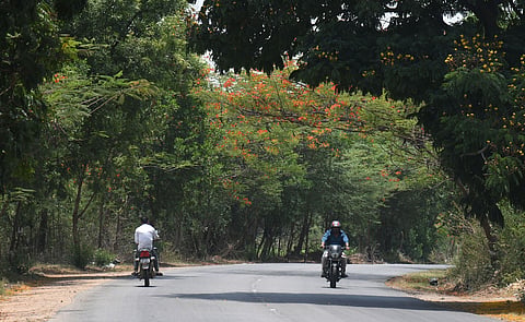 Representative Image
