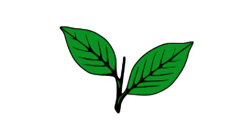 AIADMK flag used for representative purposes only.