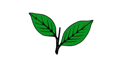 AIADMK flag used for representative purposes only.