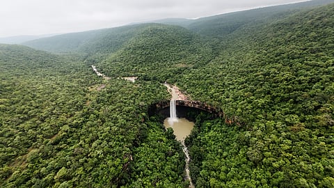 Chhattisgarh forest.