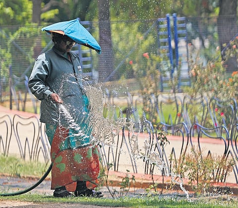 Wearing a makeshift hat to shield herself from the harsh rays of the sun, a worker waters plants at Sanjeevaiah Park on Tuesday