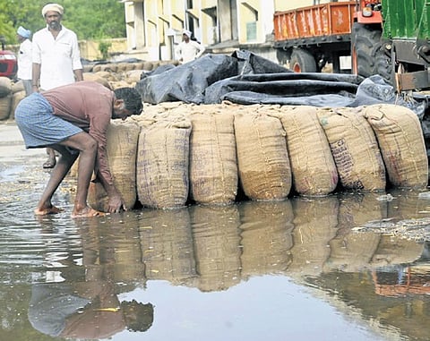 A farmer tries to save his paddy bags at a procurement centre in Karimnagar