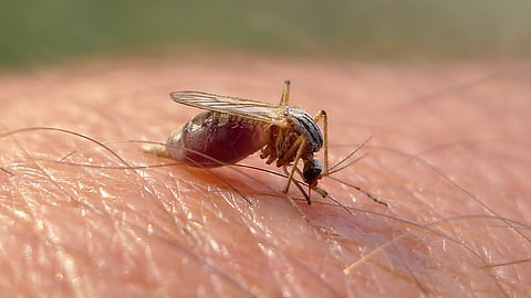 Quick Take | Another population control