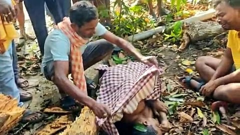 Family members of Jitendra retrieving his body from under the tree.