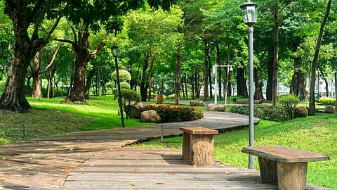 Nature’s healing role in everyday urban life