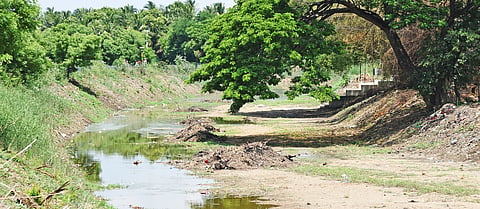 Desilting debris kept in the middle of the Uyyakondan canal near Vayalur in Tiruchy on Wednesday.