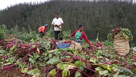 Nilgiris farmers