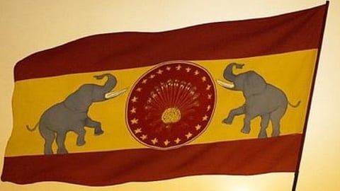 TVK flag used for representation purposes only.