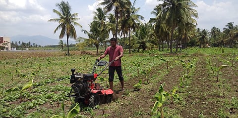 World Environment Day: Taking the green route to farm life