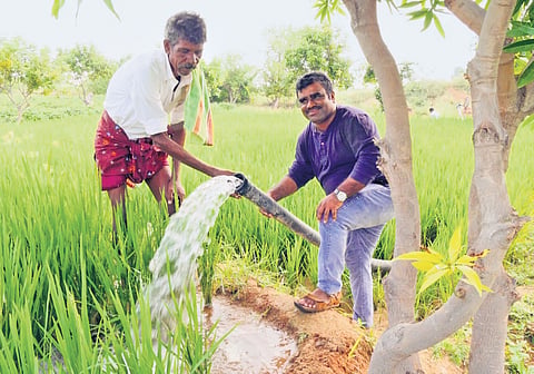 A filled pond after desilting efforts improved its water storage