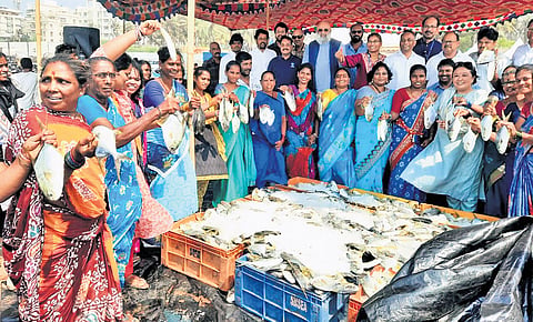 Fisherfolk showcase a record 4 tonnes of Indian Pompano harvested from a sea cage off RK Beach in Visakhapatnam on Saturday.