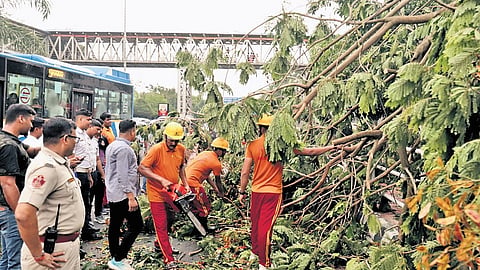 Fire service and police personnel cutting trees and cleaning the road near Kalinga Stadium after the thunderstorm on Saturday.