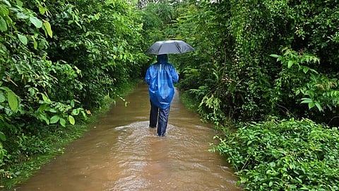 06.06.2026.kerala, Kozhikode: standalone photo: When water entered Sarovaram Madathilpadi Road in Kozhikode as canals overflowed due to heavy rain. /