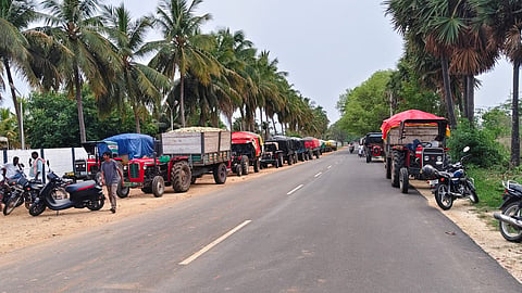 Despite roadside stalls selling mangoes cheaply and consumers enjoying the seasonal abundance, farmers remain burdened by losses.