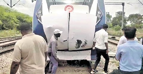 Vande Bharat Hits Buffalo at Devarajupalli Railway gate Near Hindupur of Sri Satya Sai District on Sunday afternoon.