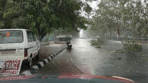 While the thunderstorm was intense, uprooting trees, damaging electric poles and snapping transmission lines, residents questioned why restoration efforts took so long despite a limited number of affected localities.
