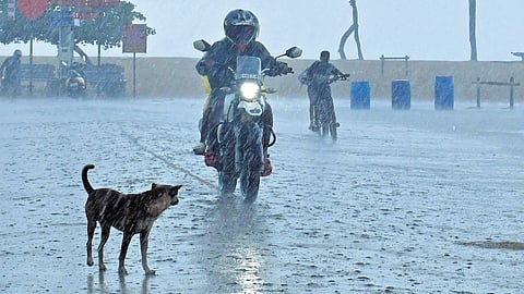 IMD issues red alert in three districts as monsoon remains active in Kerala.