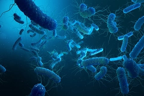 Shigella alert in Kerala, health department steps up vigil