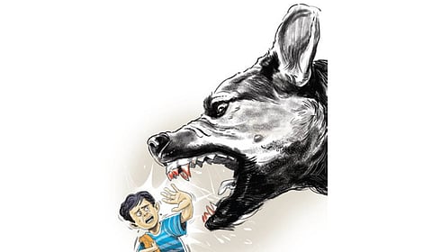 Repeated stray dog attacks have put the civic body in the dock, with residents and the opposition alleging that authorities have failed to take effective measures to address the issue.