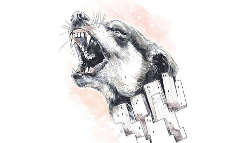 While local authorities maintain that the incident is an isolated one, concerns remain about the possibility that the infected dog may have bitten other animals before it died.