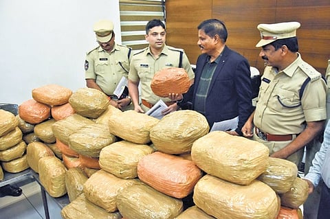 The operation was part of the State government’s drive to make Andhra Pradesh drug-free.