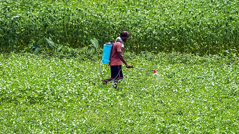 First, the farmer undergoes Aadhaar authentication, following which the farmer and land details are verified.