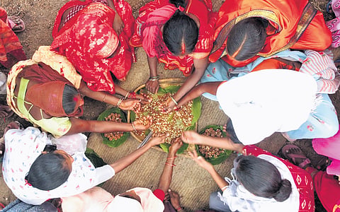 Villagers prepare traditional mahua-based products