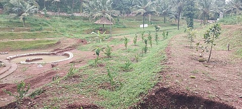 ‘Freedom’ botanical garden on the premises of the Nettukaltheri Open Prison