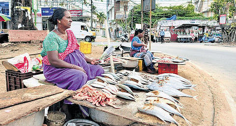 Fish vendors await customers with the day’s catch at Manacaud Junction in Thiruvananthapuram. Roadside fish sales continue to be a vital source of livelihood for many coastal families in the city