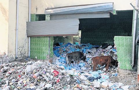 MCD to roll out zero-waste plan across nine Delhi hospitals to cut landfill burden